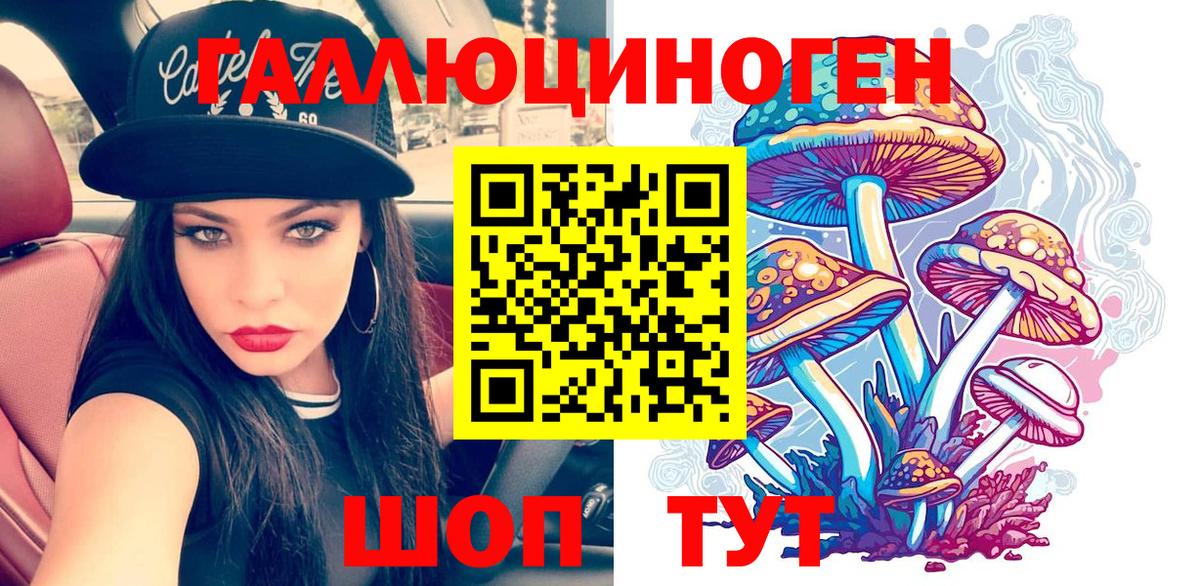 Псилоцибиновые грибы Cubensis Котлас