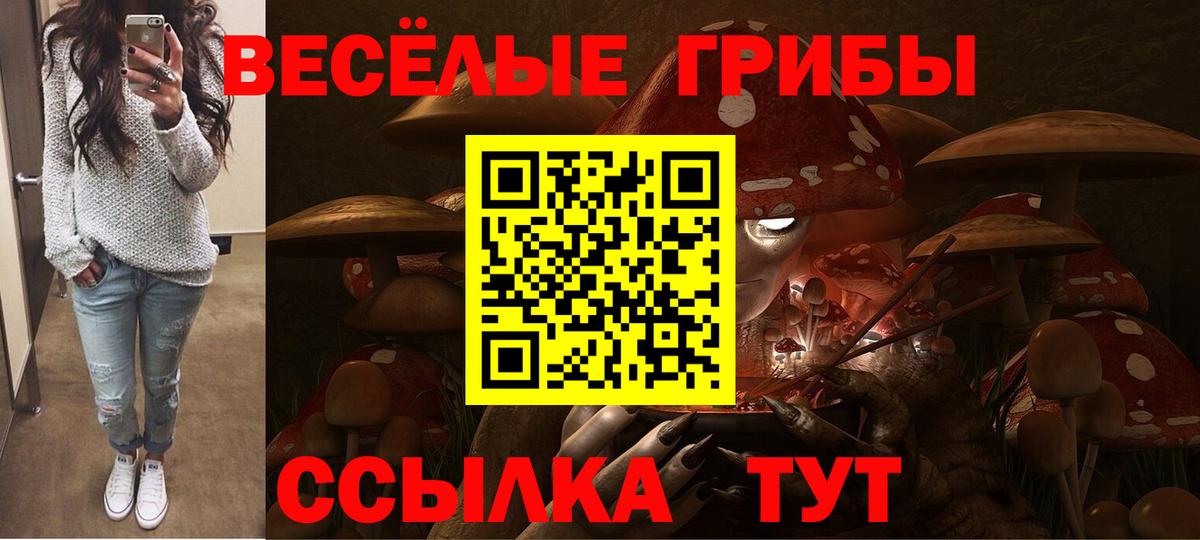 Галлюциногенные грибы MAGIC MUSHROOMS  Вход с VPN  Котлас 